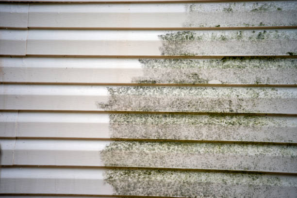 Trusted Lakewood, WA Junk Removal Experts