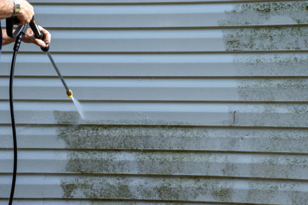 Best Residential Junk Removal  in Lakewood, WA