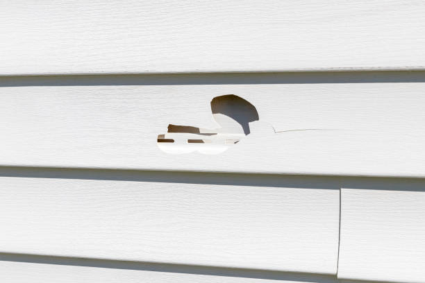 Best Hoarding Cleanup  in Lakewood, WA